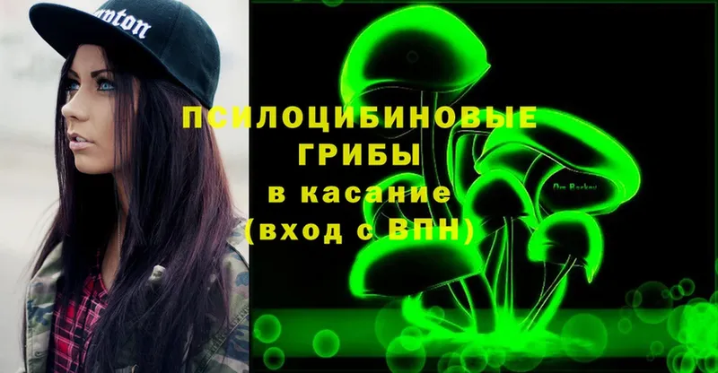 Галлюциногенные грибы Cubensis  Камызяк 